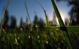 边缘计算